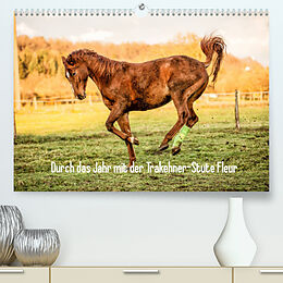 Kalender Durch das Jahr mit der Trakehner-Stute Fleur (Premium, hochwertiger DIN A2 Wandkalender 2022, Kunstdruck in Hochglanz) von Romy Pfeifer