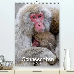 Kalender Schneeaffen im Portträt (Premium, hochwertiger DIN A2 Wandkalender 2022, Kunstdruck in Hochglanz) von Thorsten Jürs