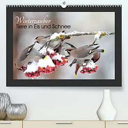Kalender Winterzauber - Tiere in Eis und Schnee (Premium, hochwertiger DIN A2 Wandkalender 2022, Kunstdruck in Hochglanz) von Günter Bachmeier