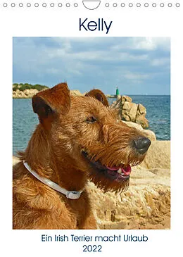 Kalender Kelly - Ein Irish Terrier macht Urlaub (Wandkalender 2022 DIN A4 hoch) von Claudia Schimon