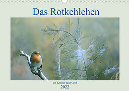 Kalender Das Rotkehlchen, ein Kleiner ganz Groß (Wandkalender 2022 DIN A3 quer) von Rufotos