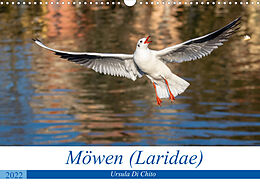Kalender Möwen (Laridae) (Wandkalender 2022 DIN A3 quer) von Ursula Di Chito