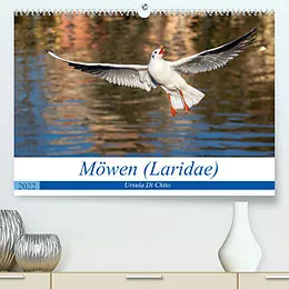 Kalender Möwen (Laridae) (Premium, hochwertiger DIN A2 Wandkalender 2022, Kunstdruck in Hochglanz) von Ursula Di Chito