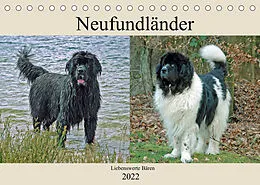 Kalender Neufundländer Liebenswerte Bären (Tischkalender 2022 DIN A5 quer) von Claudia Kleemann