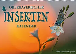 Kalender Oberbayerischer Insekten Kalender (Wandkalender 2022 DIN A2 quer) von Stefan Sporrer