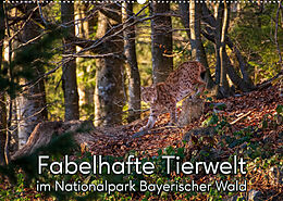 Kalender Fabelhafte Tierwelt im Nationalpark Bayerischer Wald (Wandkalender 2022 DIN A2 quer) von Christian Haidl