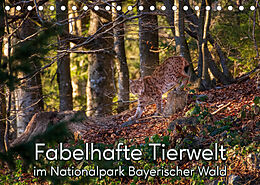 Kalender Fabelhafte Tierwelt im Nationalpark Bayerischer Wald (Tischkalender 2022 DIN A5 quer) von Christian Haidl