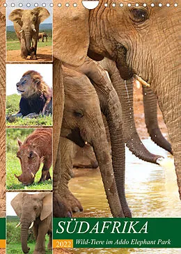 Kalender SÜDAFRIKA Wild-Tiere im Addo Elephant Park (Wandkalender 2022 DIN A4 hoch) von Barbara Fraatz