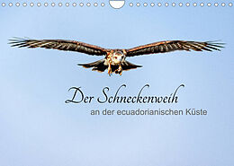 Kalender Der Schneckenweih (Wandkalender 2022 DIN A4 quer) von Peter Rosenthal