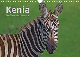 Kalender Kenia - Die Tiere der Savanne (Wandkalender 2022 DIN A4 quer) von Andreas Mayer