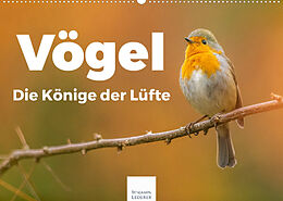 Kalender Vögel - Die Könige der Lüfte (Wandkalender 2022 DIN A2 quer) von Benjamin Lederer