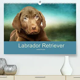 Kalender Labrador Retriever unsere Freunde (Premium, hochwertiger DIN A2 Wandkalender 2022, Kunstdruck in Hochglanz) von M. Camadini Switzerland