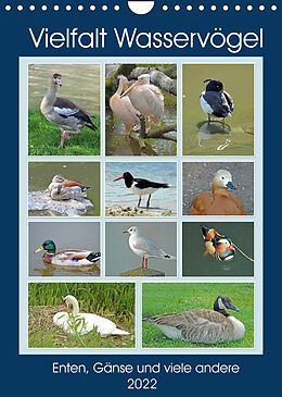 Kalender Vielfalt Wasservögel (Wandkalender 2022 DIN A4 hoch) von Claudia Kleemann