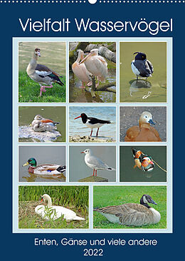 Kalender Vielfalt Wasservögel (Wandkalender 2022 DIN A2 hoch) von Claudia Kleemann