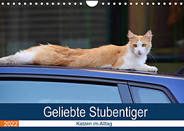 Kalender Geliebte Stubentiger - Katzen im Alltag (Wandkalender 2022 DIN A4 quer) von Thomas Bartruff