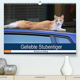 Kalender Geliebte Stubentiger - Katzen im Alltag (Premium, hochwertiger DIN A2 Wandkalender 2022, Kunstdruck in Hochglanz) von Thomas Bartruff