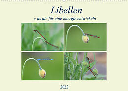 Kalender Libellen, was die für eine Energie entwickeln. (Wandkalender 2022 DIN A2 quer) von Rufotos