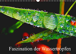 Kalender Faszination Wassertropfen (Wandkalender 2022 DIN A3 quer) von Michis Fotogalerie
