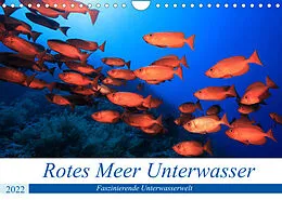 Kalender Rotes Meer Unterwasser (Wandkalender 2022 DIN A4 quer) von Martin Hablützel