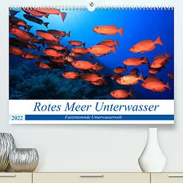 Kalender Rotes Meer Unterwasser (Premium, hochwertiger DIN A2 Wandkalender 2022, Kunstdruck in Hochglanz) von Martin Hablützel