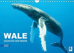 Kalender Wale: Giganten der Meere (Wandkalender 2022 DIN A4 quer) von CALVENDO