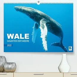 Kalender Wale: Giganten der Meere (Premium, hochwertiger DIN A2 Wandkalender 2022, Kunstdruck in Hochglanz) von CALVENDO