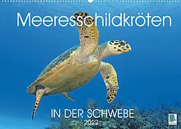 Kalender In der Schwebe: Meeresschildkröten (Wandkalender 2022 DIN A2 quer) von CALVENDO