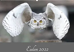 Kalender Eulen 2022 (Wandkalender 2022 DIN A2 quer) von Jürgen Trimbach