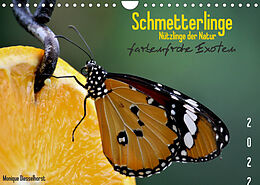 Kalender Schmetterlinge Nützlinge der Natur farbenfrohe Exoten (Wandkalender 2022 DIN A4 quer) von Monique Diesselhorst