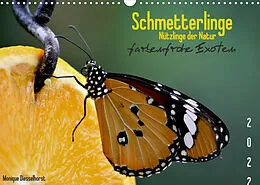 Kalender Schmetterlinge Nützlinge der Natur farbenfrohe Exoten (Wandkalender 2022 DIN A3 quer) von Monique Diesselhorst