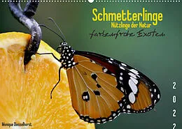 Kalender Schmetterlinge Nützlinge der Natur farbenfrohe Exoten (Wandkalender 2022 DIN A2 quer) von Monique Diesselhorst