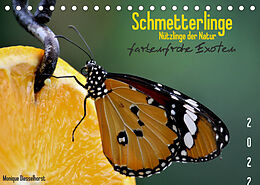 Kalender Schmetterlinge Nützlinge der Natur farbenfrohe Exoten (Tischkalender 2022 DIN A5 quer) von Monique Diesselhorst