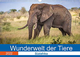 Kalender Wunderwelt der Tiere - Südafrika (Wandkalender 2022 DIN A3 quer) von Dirk Fritsche (Five-Birds Photography - www.5bp.de)