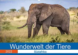 Kalender Wunderwelt der Tiere - Südafrika (Wandkalender 2022 DIN A2 quer) von Dirk Fritsche (Five-Birds Photography - www.5bp.de)