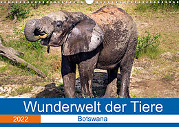 Kalender Wunderwelt der Tiere - Botswana (Wandkalender 2022 DIN A3 quer) von Dirk Fritsche (Five-Birds Photography - www.5bp.de)
