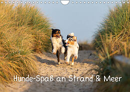 Kalender Hunde-Spaß an Strand &amp; Meer (Wandkalender 2022 DIN A4 quer) von Annett Mirsberger
