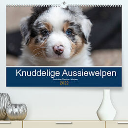 Kalender Australian Shepherd Welpen 2022 (Premium, hochwertiger DIN A2 Wandkalender 2022, Kunstdruck in Hochglanz) von Annett Mirsberger www.annettmirsberger.de