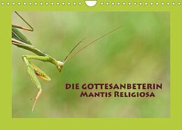 Kalender Die Gottesanbeterin Mantis Religiosa (Wandkalender 2022 DIN A4 quer) von GUGIGEI