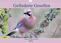 Kalender Gefiederte Gesellen - Vögel aus Wald und Garten (Wandkalender 2022 DIN A4 quer) von Arno Klatt