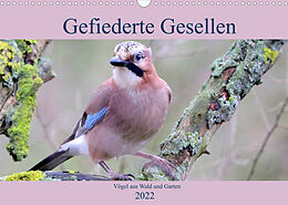 Kalender Gefiederte Gesellen - Vögel aus Wald und Garten (Wandkalender 2022 DIN A3 quer) von Arno Klatt