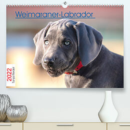 Kalender Weimaraner-Labrador (Premium, hochwertiger DIN A2 Wandkalender 2022, Kunstdruck in Hochglanz) von Tanja Riedel