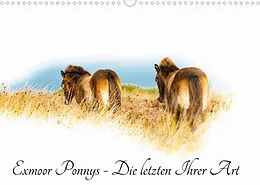 Kalender Exmoor Ponnys - Die letzten Ihrer Art (Wandkalender 2022 DIN A3 quer) von Torsten Antoniewski