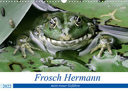 Kalender Frosch Hermann, mein treuer Gefährte. (Wandkalender 2022 DIN A3 quer) von Rufotos