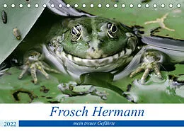 Kalender Frosch Hermann, mein treuer Gefährte. (Tischkalender 2022 DIN A5 quer) von Rufotos