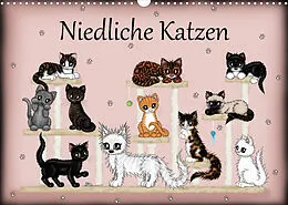 Kalender Niedliche Katzen (Wandkalender 2022 DIN A3 quer) von Pezi Creation / Petra Haberhauer