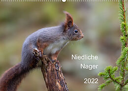 Kalender Niedliche NagerCH-Version (Wandkalender 2022 DIN A2 quer) von Dorothea OLDANI
