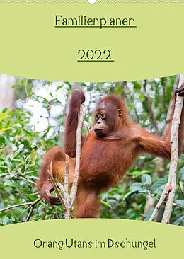 Kalender Familienplaner 2022 - Orang Utans im Dschungel (Wandkalender 2022 DIN A2 hoch) von Daniel Heiss Photography