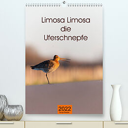 Kalender Limosa Limosa die Uferschnepfe (Premium, hochwertiger DIN A2 Wandkalender 2022, Kunstdruck in Hochglanz) von Tanja Riedel