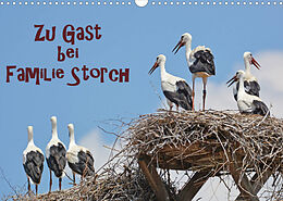 Kalender Zu Gast bei Familie Storch (Wandkalender 2022 DIN A3 quer) von GUGIGEI