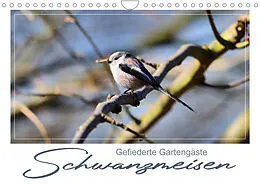 Kalender Gefiederte Gartengäste, Schwanzmeisen (Wandkalender 2022 DIN A4 quer) von N N